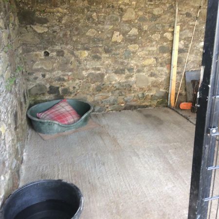 Tracey'S Farmhouse Cottage Belfast Esterno foto